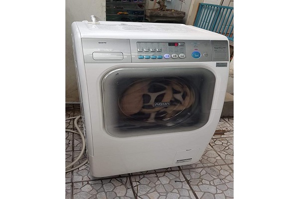 Sửa Lỗi E41 Máy Giặt Sanyo Nội Địa Nhật-1