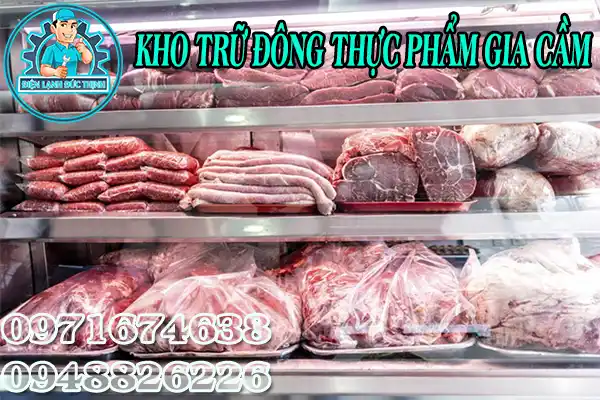 Kho Trữ Đông Thực Phẩm Bảo Quản Thịt Gia Cầm1
