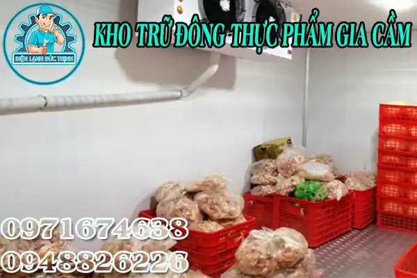 Kho Trữ Đông Thực Phẩm Bảo Quản Thịt Gia Cầm2