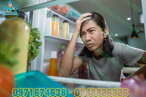 Sửa Tủ Lạnh Tại Hưng Yên1