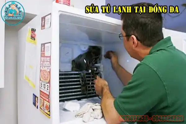 Dịch Vụ Sửa Tủ Lạnh Đống Đa Chuyên Nghiệp3