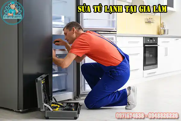 Dịch Vụ Sửa Tủ Lạnh Gia Lâm Chuyên Nghiệp Tại Nhà1
