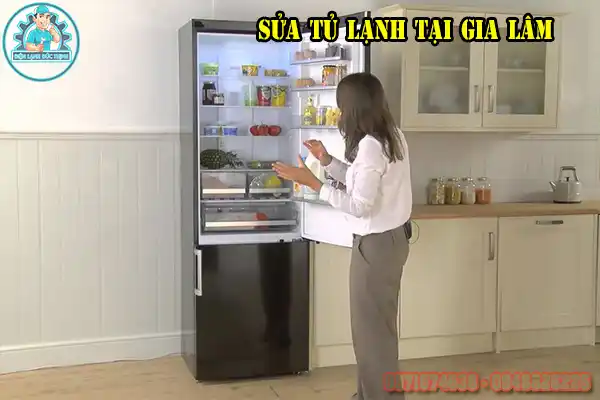Dịch Vụ Sửa Tủ Lạnh Gia Lâm Chuyên Nghiệp Tại Nhà2