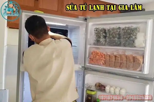 Dịch Vụ Sửa Tủ Lạnh Gia Lâm Chuyên Nghiệp Tại Nhà6