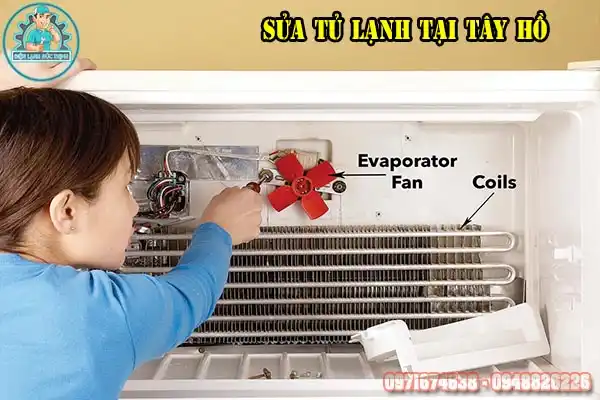 Dịch Vụ Sửa Tủ Lạnh Tại Tây Hồ Nhanh Chóng, Chuyên Nghiệp2
