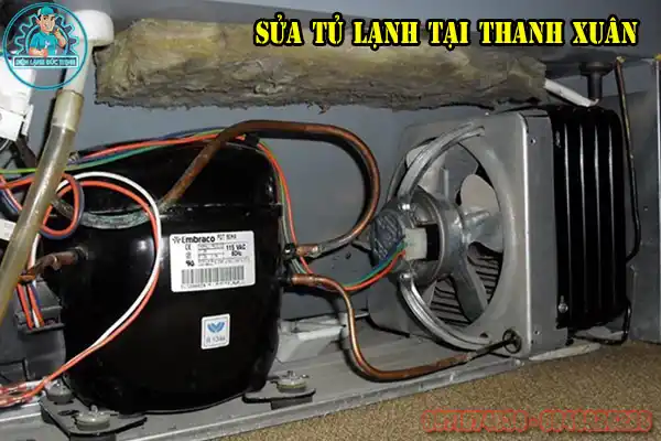 Dịch Vụ Sửa Tủ Lạnh Tại Thanh Xuân, Hà Nội6