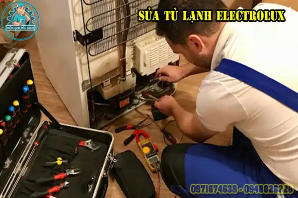 Sửa Tủ Lạnh Electrolux Tại Hà Nội Giá Rẻ4