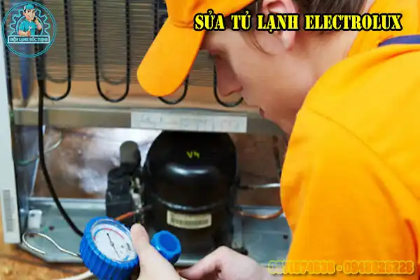 Sửa Tủ Lạnh Electrolux Tại Hà Nội Giá Rẻ5