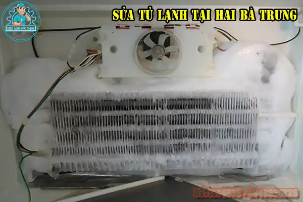Dịch Vụ Sửa Tủ Lạnh Hai Bà Trưng Tại Nhà Chuyên Nghiệp4