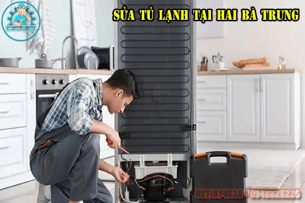 Dịch Vụ Sửa Tủ Lạnh Hai Bà Trưng Tại Nhà Chuyên Nghiệp6