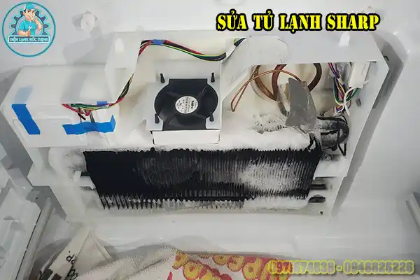 Cách sửa tủ lạnh Sharp ngăn mát không lạnh