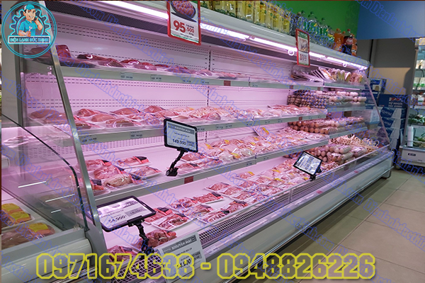 Sửa Tủ Mát Tại Nhà Giá Rẻ2