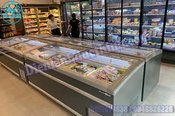 Những Lỗi Thường Gặp Và Cách Sửa Tủ Đông Northwind Tại Nhà2
