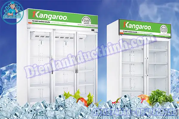 Nguyên Nhân Và Cách Tự Sửa Tủ Mát Kangaroo Tại Nhà1