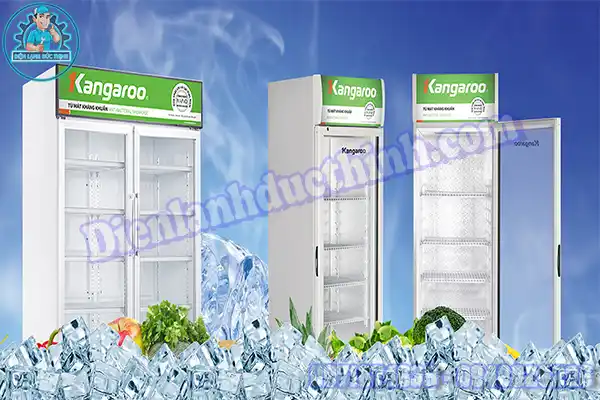 Nguyên Nhân Và Cách Tự Sửa Tủ Mát Kangaroo Tại Nhà2