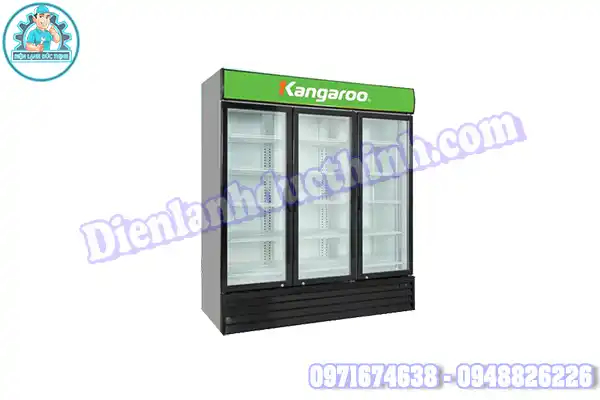 Nguyên Nhân Và Cách Tự Sửa Tủ Mát Kangaroo Tại Nhà5
