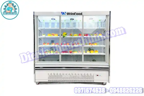 Hướng Dẫn Cách Tự Sửa Chữa Tủ Mát Wincool Tại Nhà Cơ Bản1