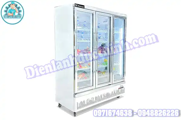 Hướng Dẫn Cách Tự Sửa Chữa Tủ Mát Wincool Tại Nhà Cơ Bản2