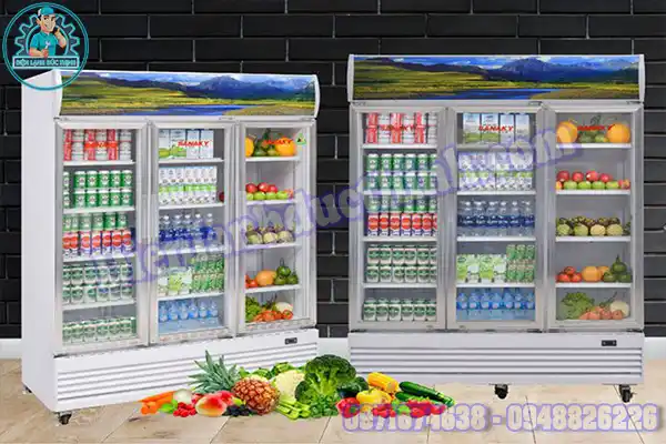 Đơn Vị Sửa Tủ Mát Sanaky Tại Nhà Uy Tín Chuyên Nghiệp1