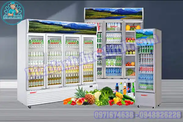 Đơn Vị Sửa Tủ Mát Sanaky Tại Nhà Uy Tín Chuyên Nghiệp4
