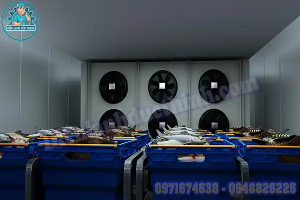 Mua Bán Lắp Đặt Kho Lạnh Bảo Quản Cá Cũ Mới Giá Rẻ3