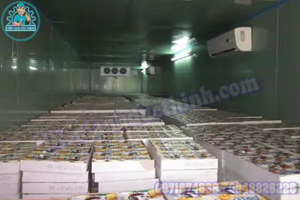 Mua Bán Lắp Đặt Kho Lạnh Bảo Quản Cá Cũ Mới Giá Rẻ6