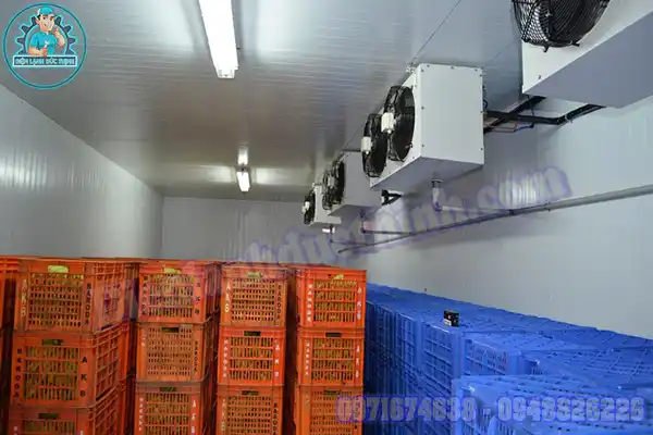 Thiết Kế Lắp Đặt Kho Lạnh Bảo Quản Cam Chuyên Nghiệp1