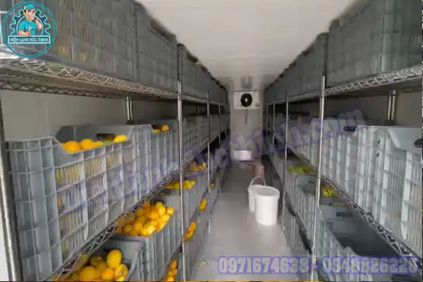 Thiết Kế Lắp Đặt Kho Lạnh Bảo Quản Cam Chuyên Nghiệp5