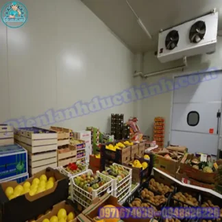 Lắp Đặt & Báo Giá Kho Lạnh Bảo Quản Dưa Cũ Mới