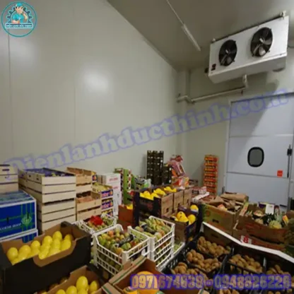 Lắp Đặt & Báo Giá Kho Lạnh Bảo Quản Dưa Cũ Mới