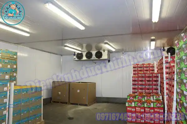 Lắp Đặt & Báo Giá Kho Lạnh Bảo Quản Dưa Cũ Mới3