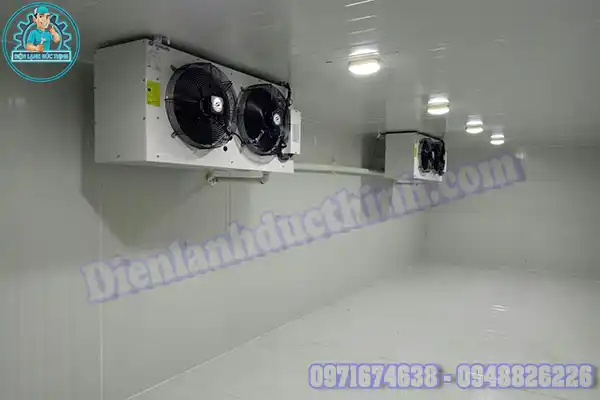 Lắp Đặt & Báo Giá Kho Lạnh Bảo Quản Dưa Cũ Mới5