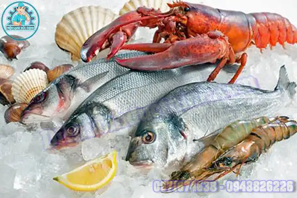 Kho Lạnh Bảo Quản Hải Sản Đạt Chuẩn HACCP, ISO, FDA4