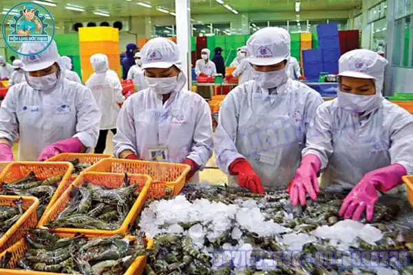 Kho Lạnh Bảo Quản Hải Sản Đạt Chuẩn HACCP, ISO, FDA5