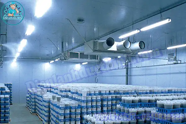 Báo Giá Kho Lạnh Bảo Quản Nấm Rơm, Nấm Hương Mới & Cũ5
