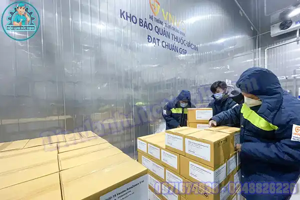 Bảo quản vắc xin trong buồng lạnh tủ lạnh dương