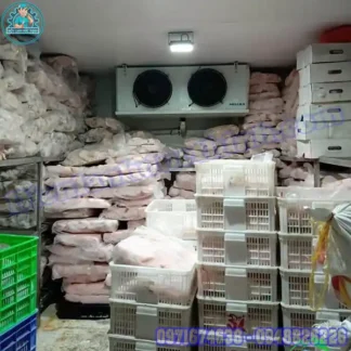 Lắp Đặt Kho Lạnh Bảo Quản Thịt Bò Cũ Mới