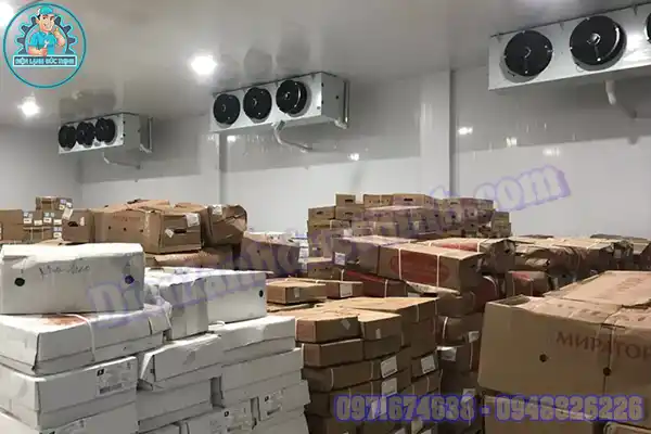 Lắp Đặt Kho Lạnh Bảo Quản Thịt Bò Cũ Mới1