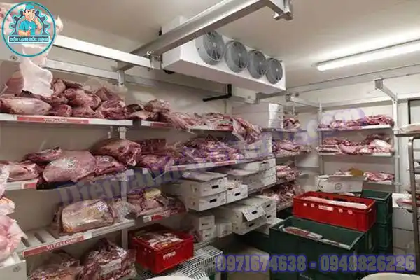 Lắp Đặt Kho Lạnh Bảo Quản Thịt Bò Cũ Mới3