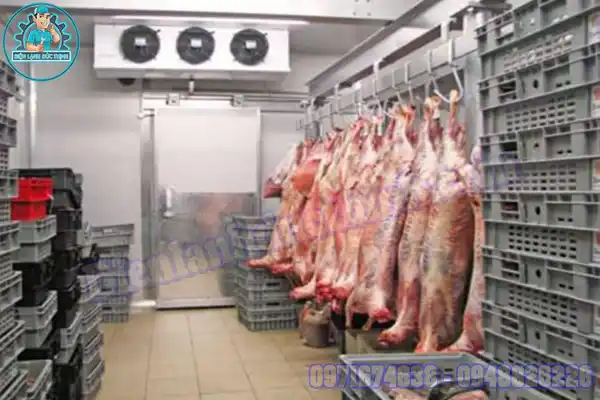 Lắp Đặt Kho Lạnh Bảo Quản Thịt Bò Cũ Mới4