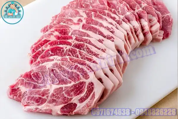 Lắp Đặt Kho Lạnh Bảo Quản Thịt Bò Cũ Mới7