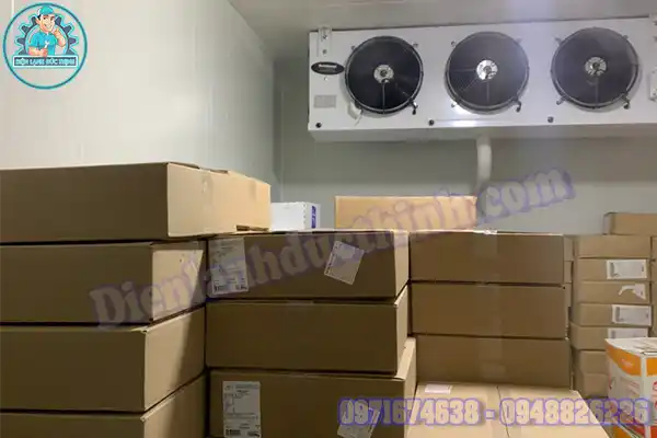 Lắp Đặt Kho Lạnh Bảo Quản Thịt Bò Cũ Mới8