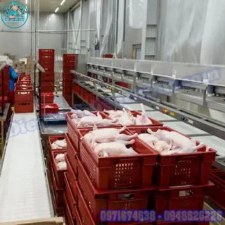 Lắp Đặt Kho Lạnh Bảo Quản Thịt Gà Mới & Cũ