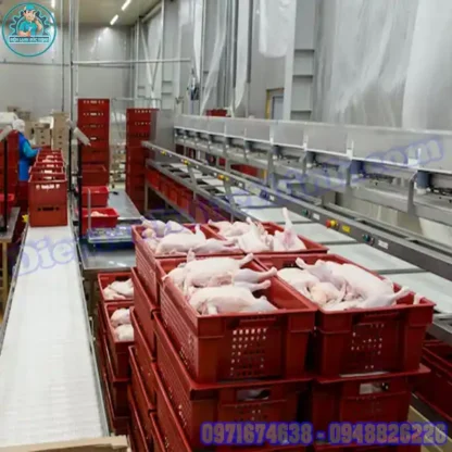 Lắp Đặt Kho Lạnh Bảo Quản Thịt Gà Mới & Cũ