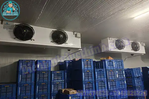 Lắp Đặt Kho Lạnh Bảo Quản Thịt Gà Mới & Cũ 5