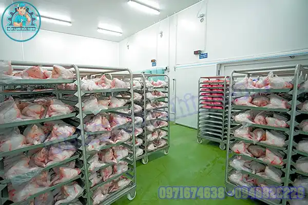 Lắp Đặt Kho Lạnh Bảo Quản Thịt Gà Mới & Cũ 6