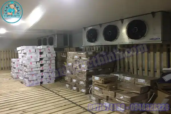 Nhiệt độ kho lạnh bảo quản thuốc