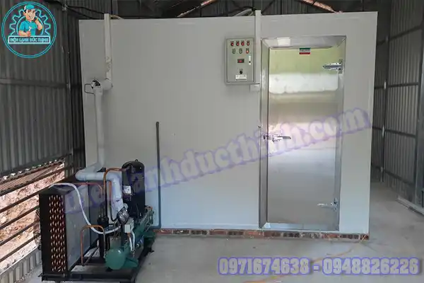 Mua kho đông lạnh cũ