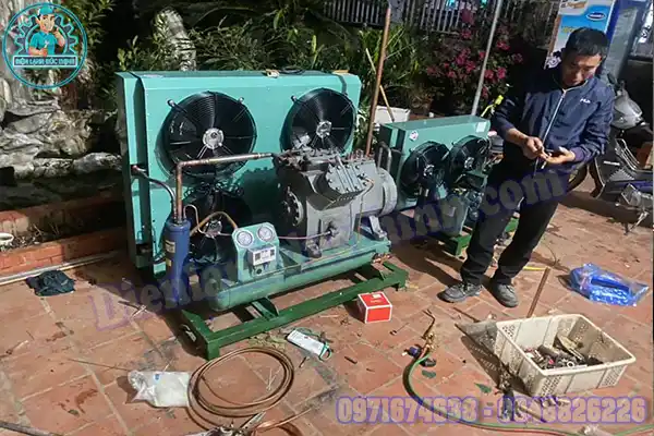 Chi phí làm kho lạnh bảo quản hoa quả