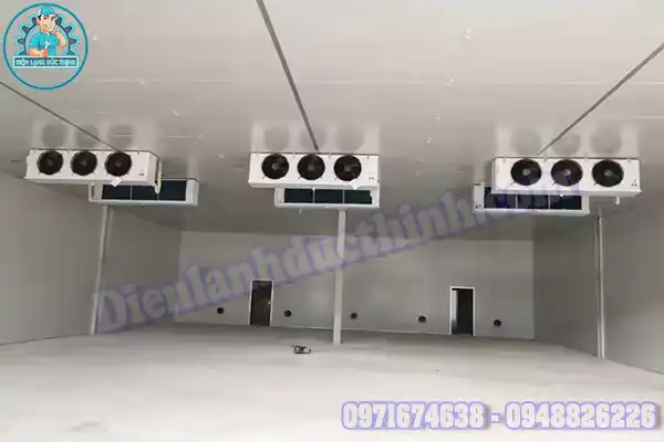 Mua Bán Lắp Đặt Kho Lạnh Bảo Quản Dứa Cũ Mới Giá Rẻ1